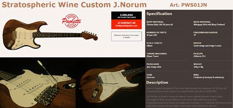 Guitare customisée JN